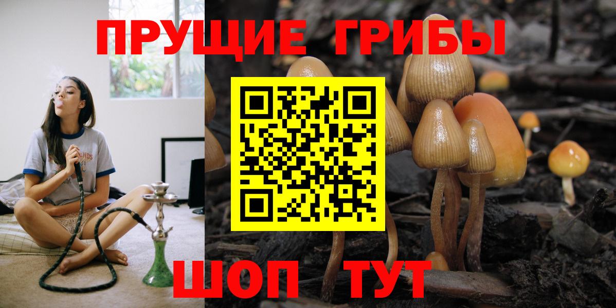 Псилоцибиновые грибы Cubensis Слободской